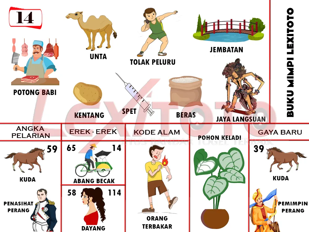 buku mimpi erek erek togel 14